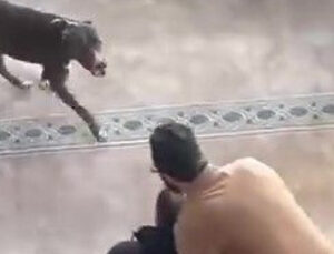 Camiye bir anda pitbull girdi!