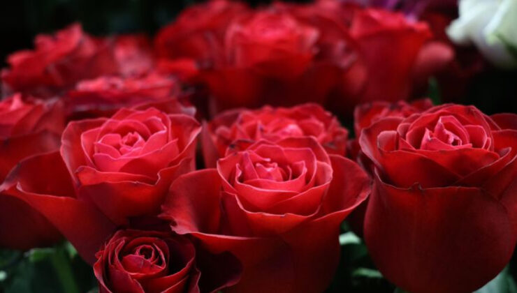 Eşini sınamak için çiçek gönderdi! Yargıtay karar verdi!