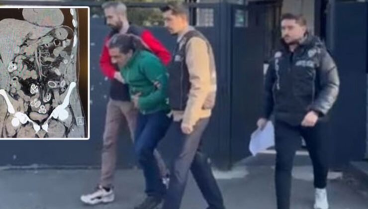 Fas’tan Beşiktaş’a midesinde getirdi! Tam 3 bin kilometre!